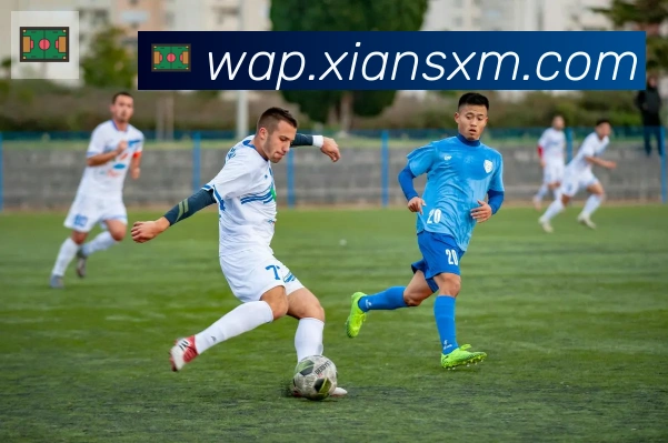 必一体育官网荣誉