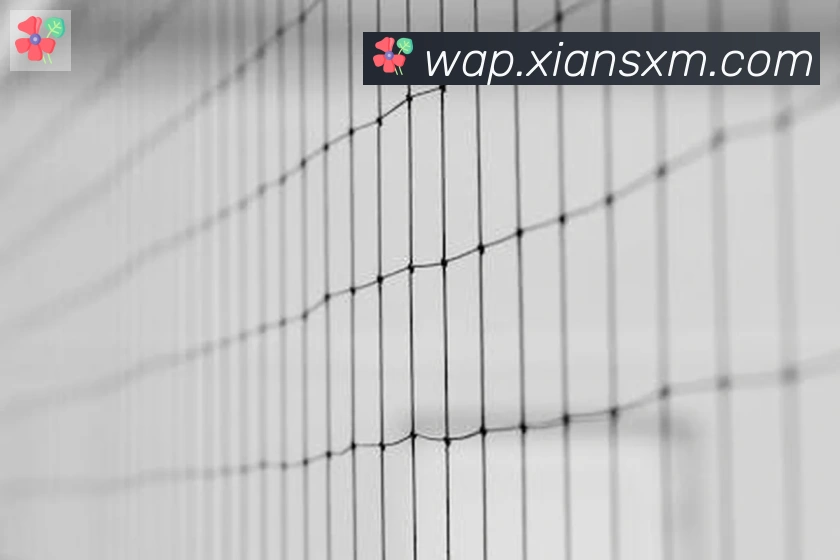 必一体育官网荣誉